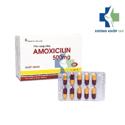 Amoxicilin 500mg Mebiphar